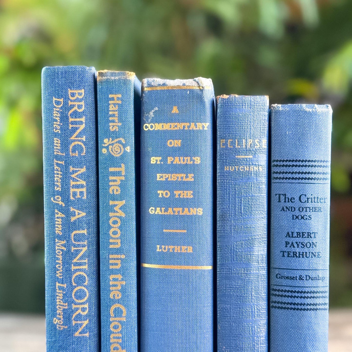Denim and Slate Blue Vintage Old Books for Decor - Pretty Old Books