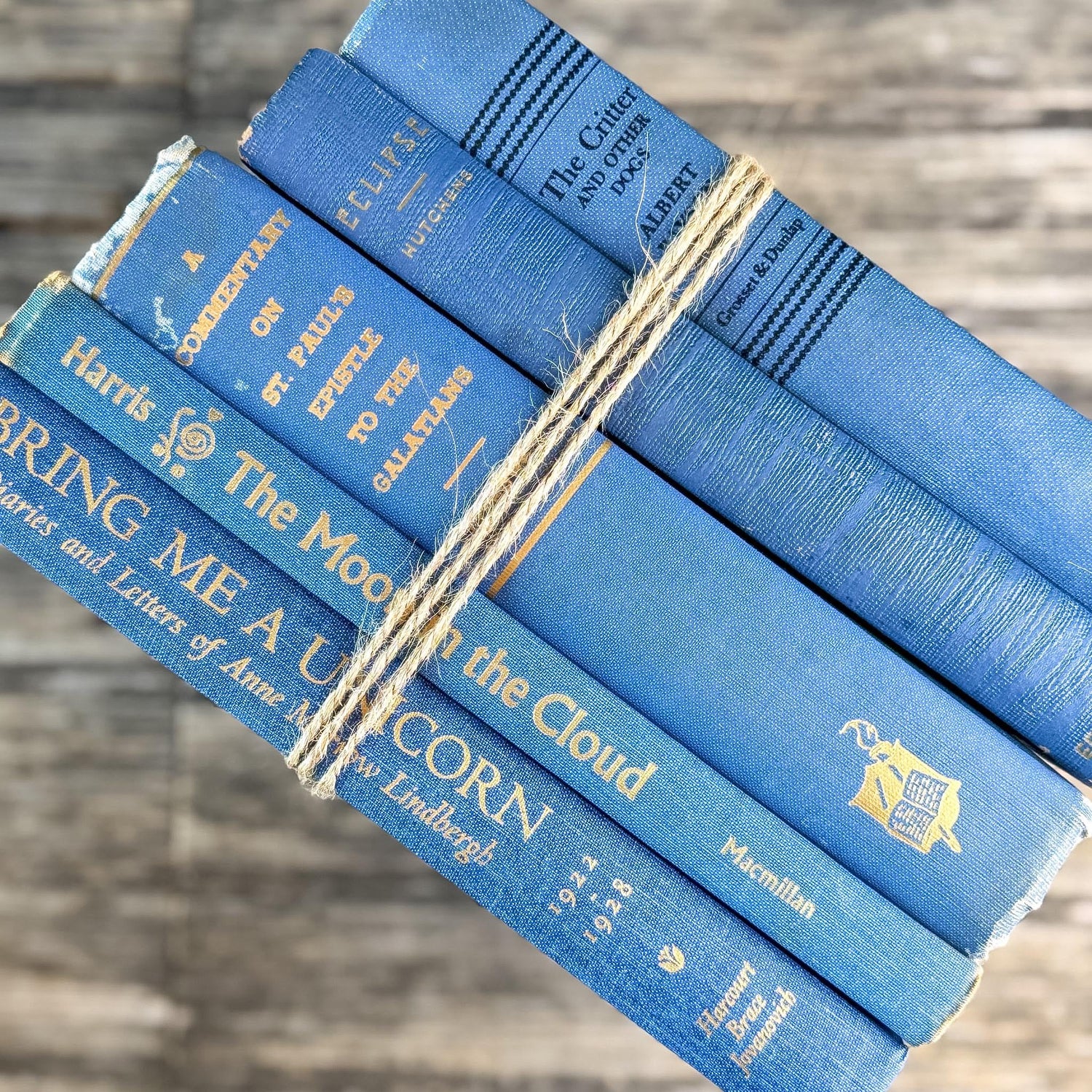 Denim and Slate Blue Vintage Old Books for Decor - Pretty Old Books