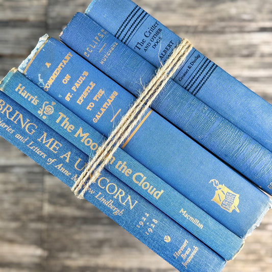 Denim and Slate Blue Vintage Old Books for Decor - Pretty Old Books