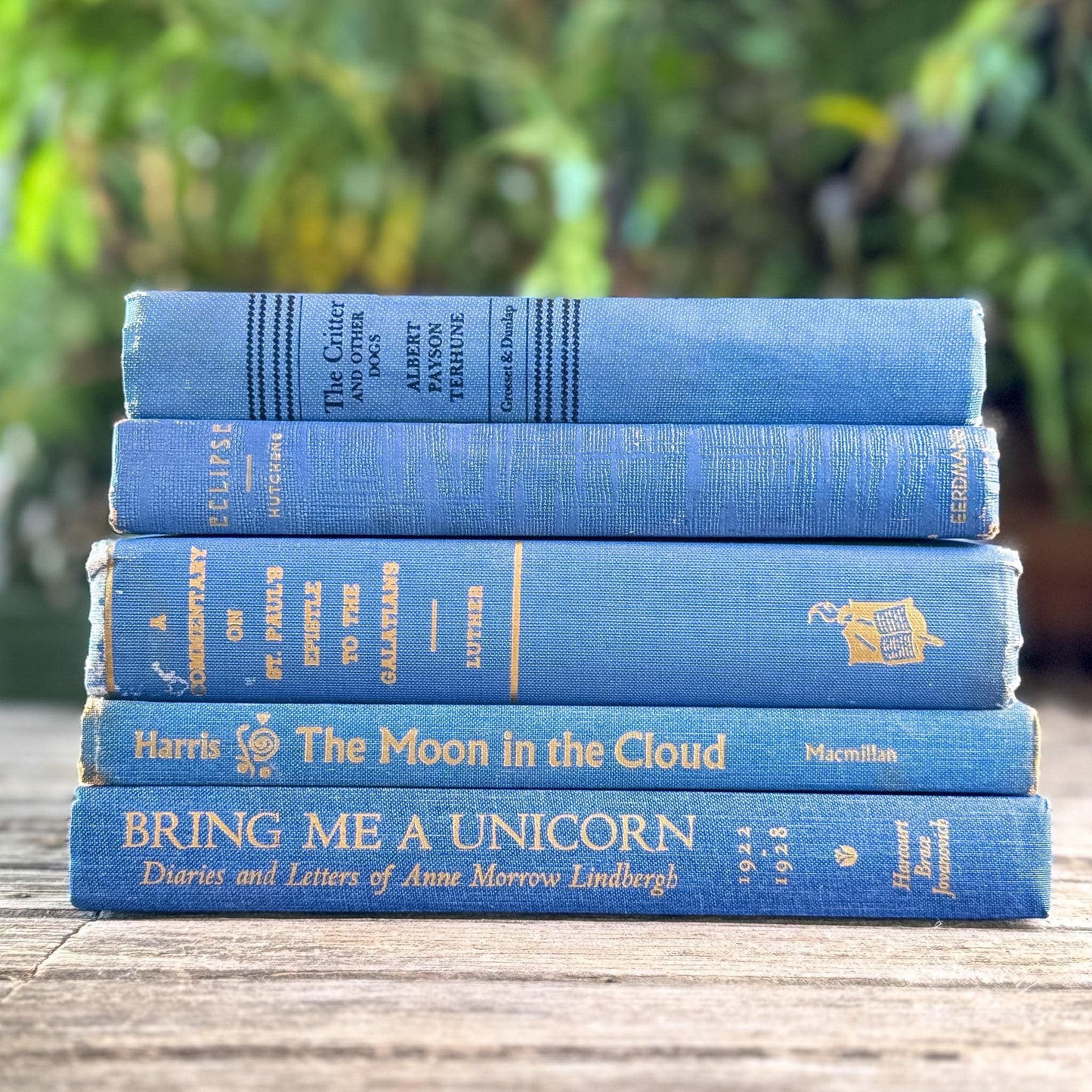 Denim and Slate Blue Vintage Old Books for Decor - Pretty Old Books