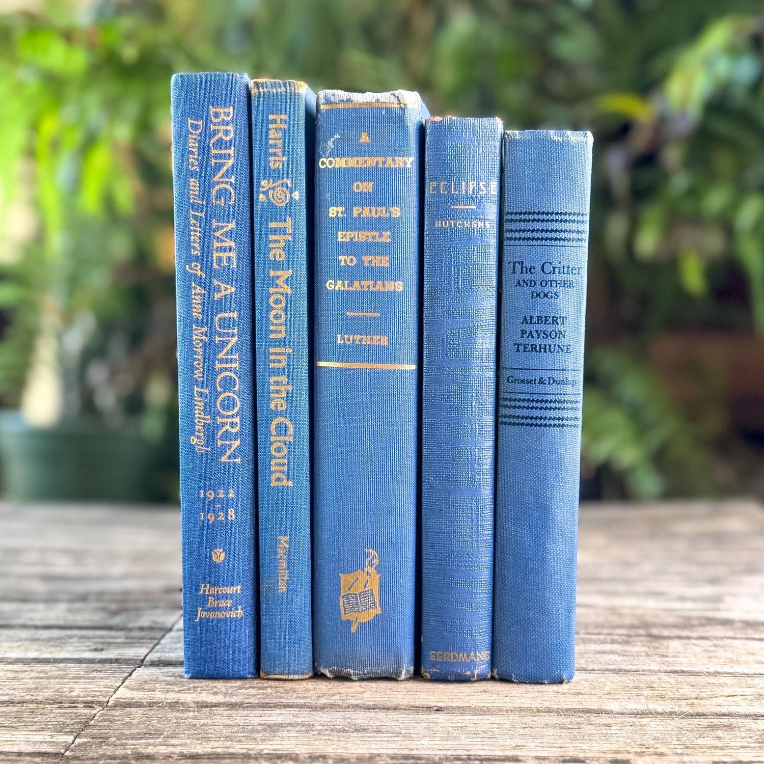 Denim and Slate Blue Vintage Old Books for Decor - Pretty Old Books