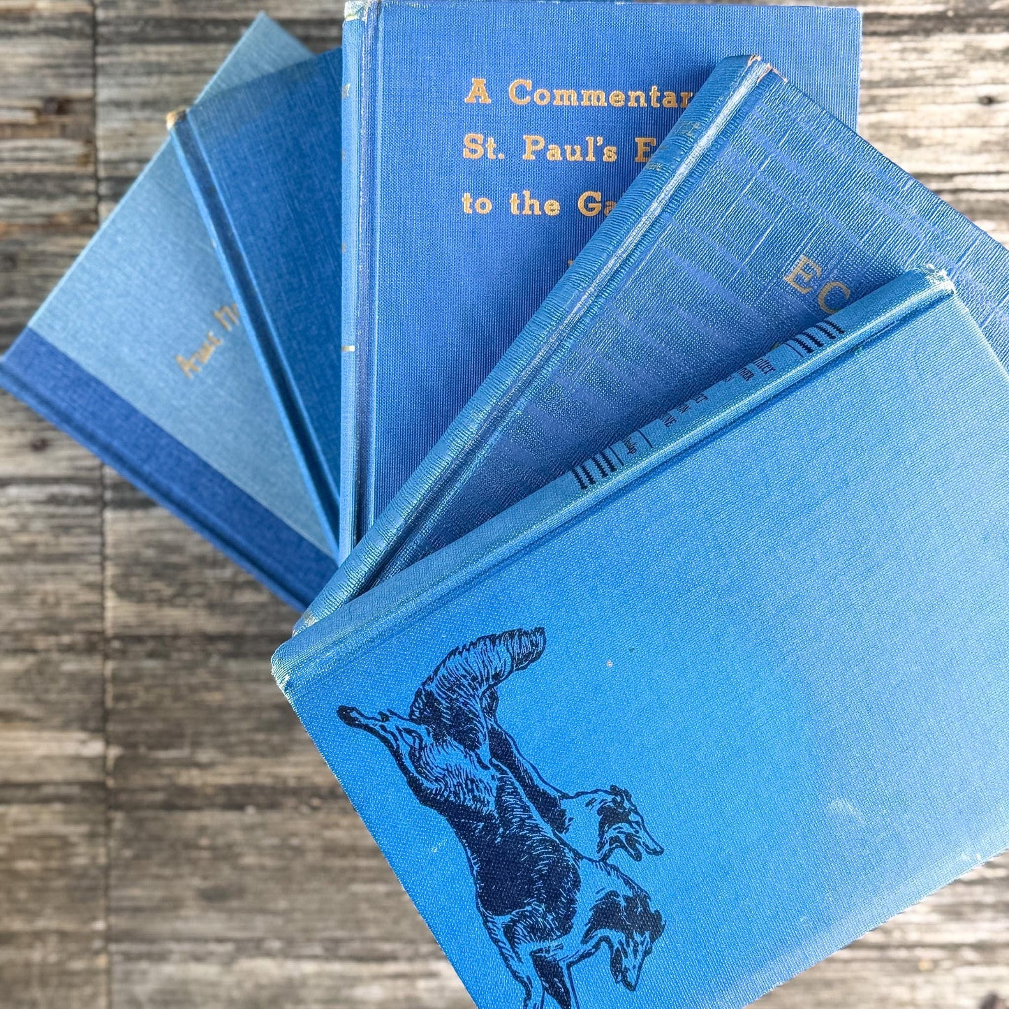 Denim and Slate Blue Vintage Old Books for Decor - Pretty Old Books