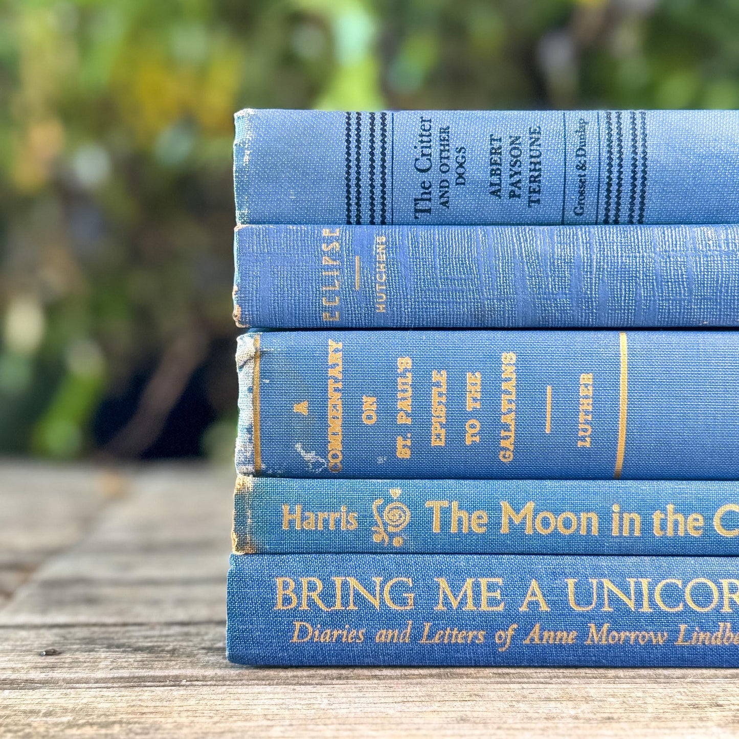 Denim and Slate Blue Vintage Old Books for Decor - Pretty Old Books