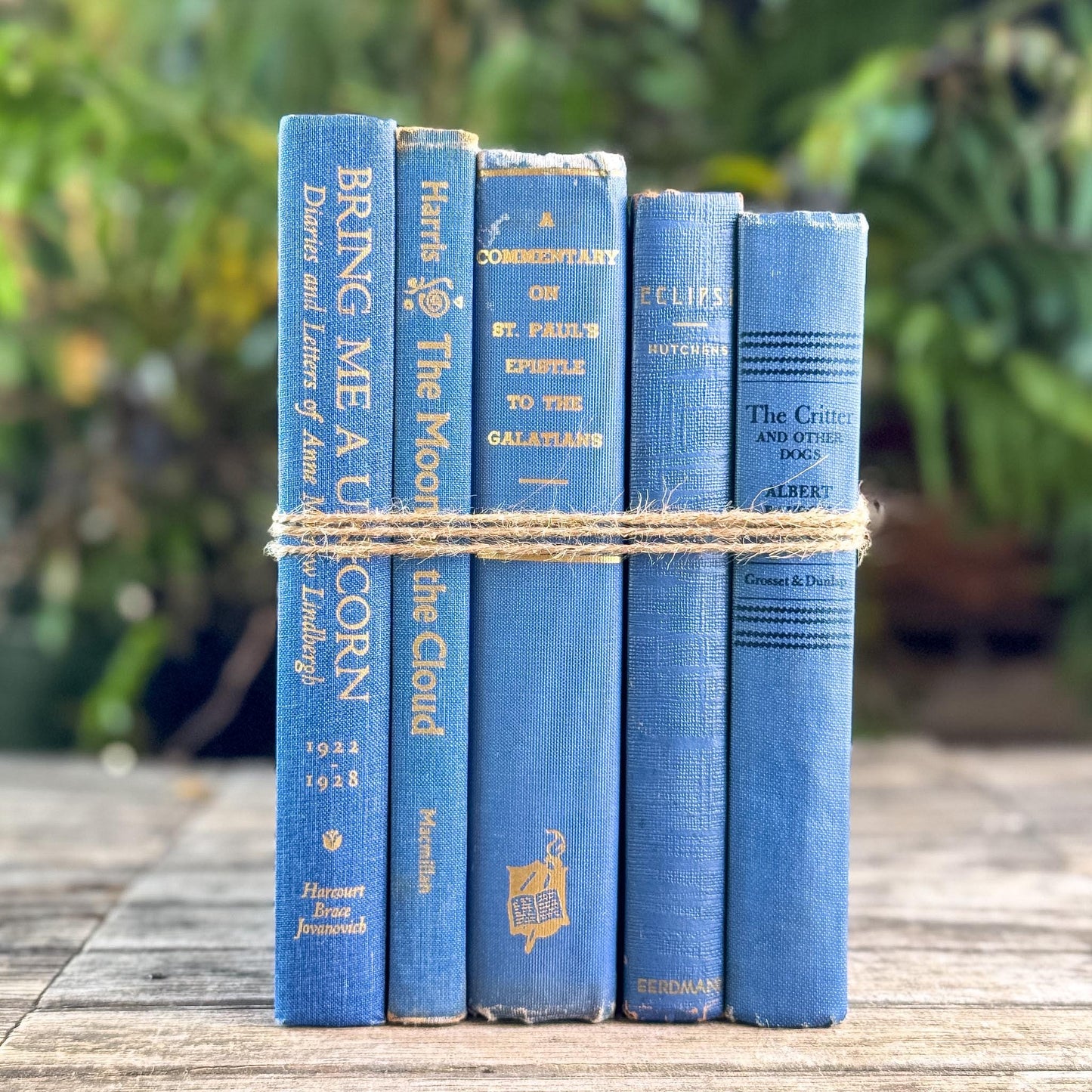 Denim and Slate Blue Vintage Old Books for Decor - Pretty Old Books