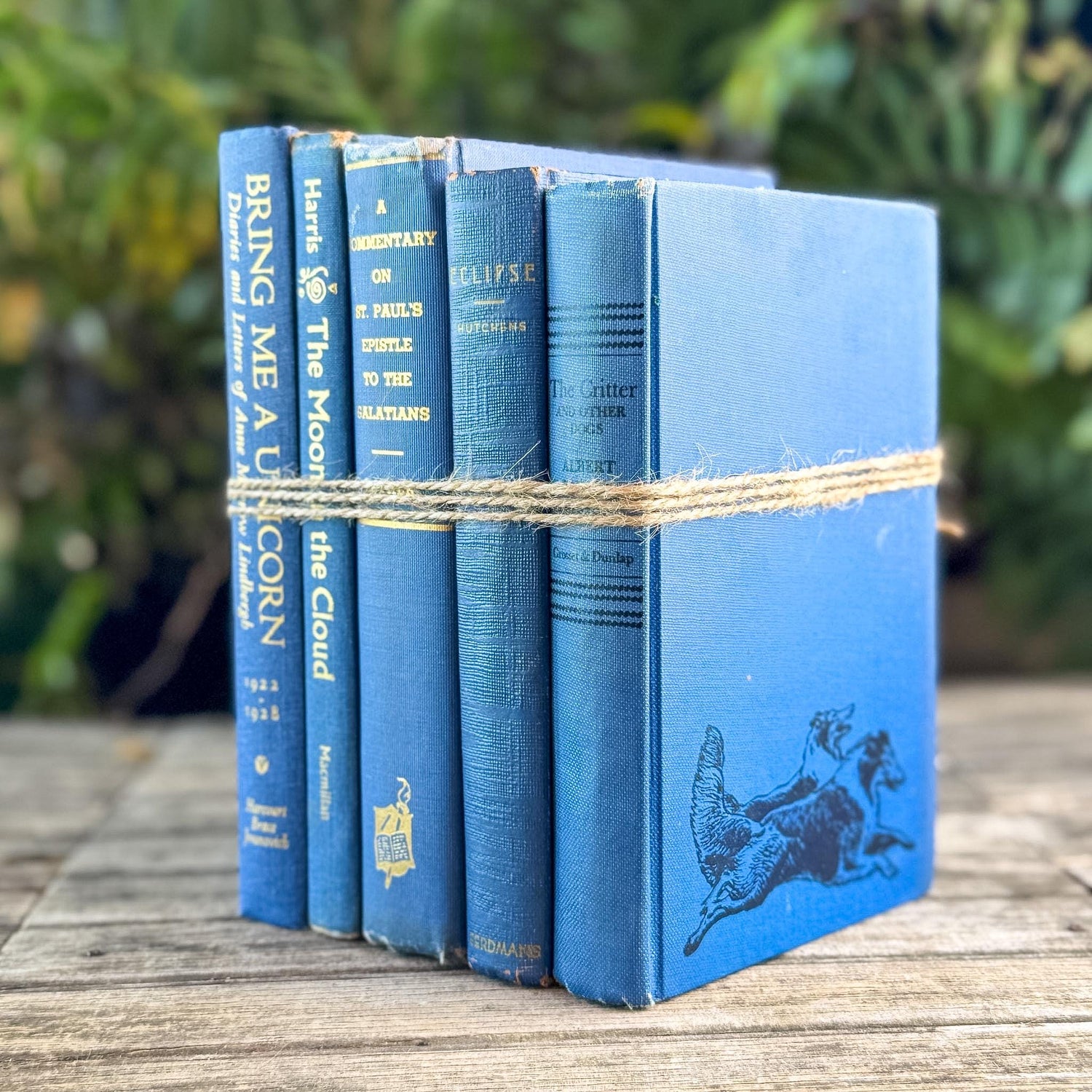 Denim and Slate Blue Vintage Old Books for Decor - Pretty Old Books