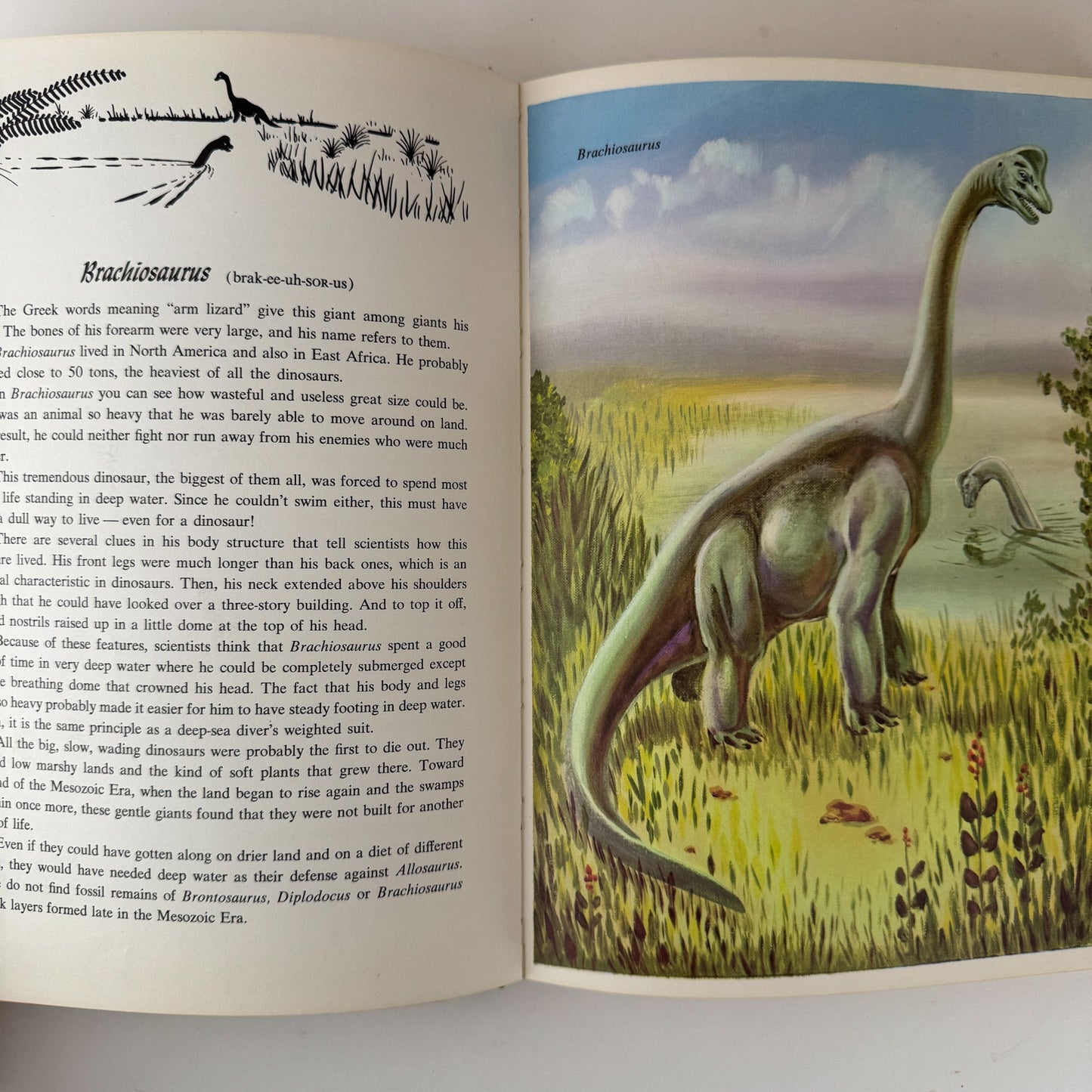 Dinosaurs and Other Prehistoric Animals, 1968, Darlene Geis - Pretty Old Books