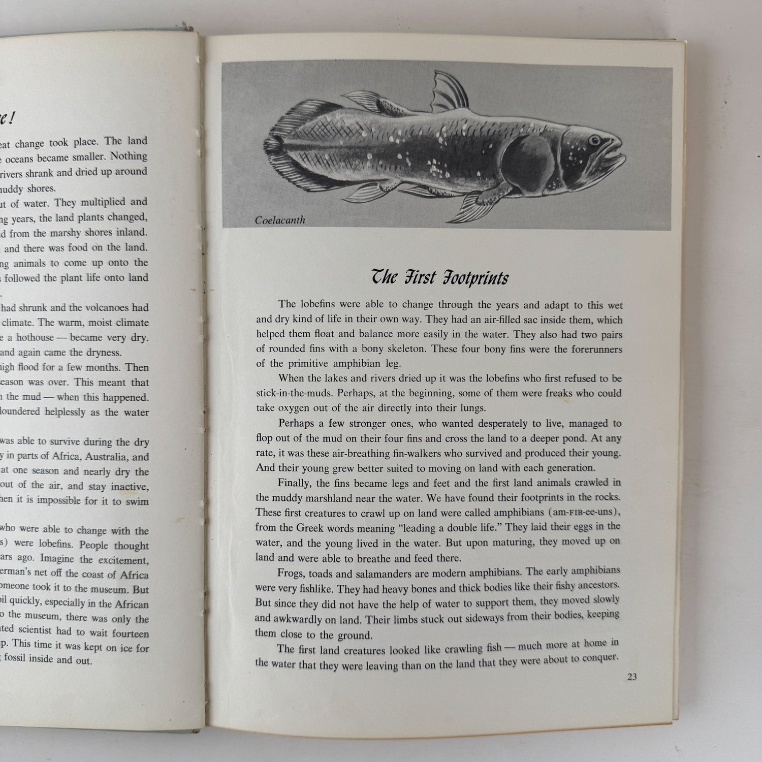 Dinosaurs and Other Prehistoric Animals, 1968, Darlene Geis - Pretty Old Books