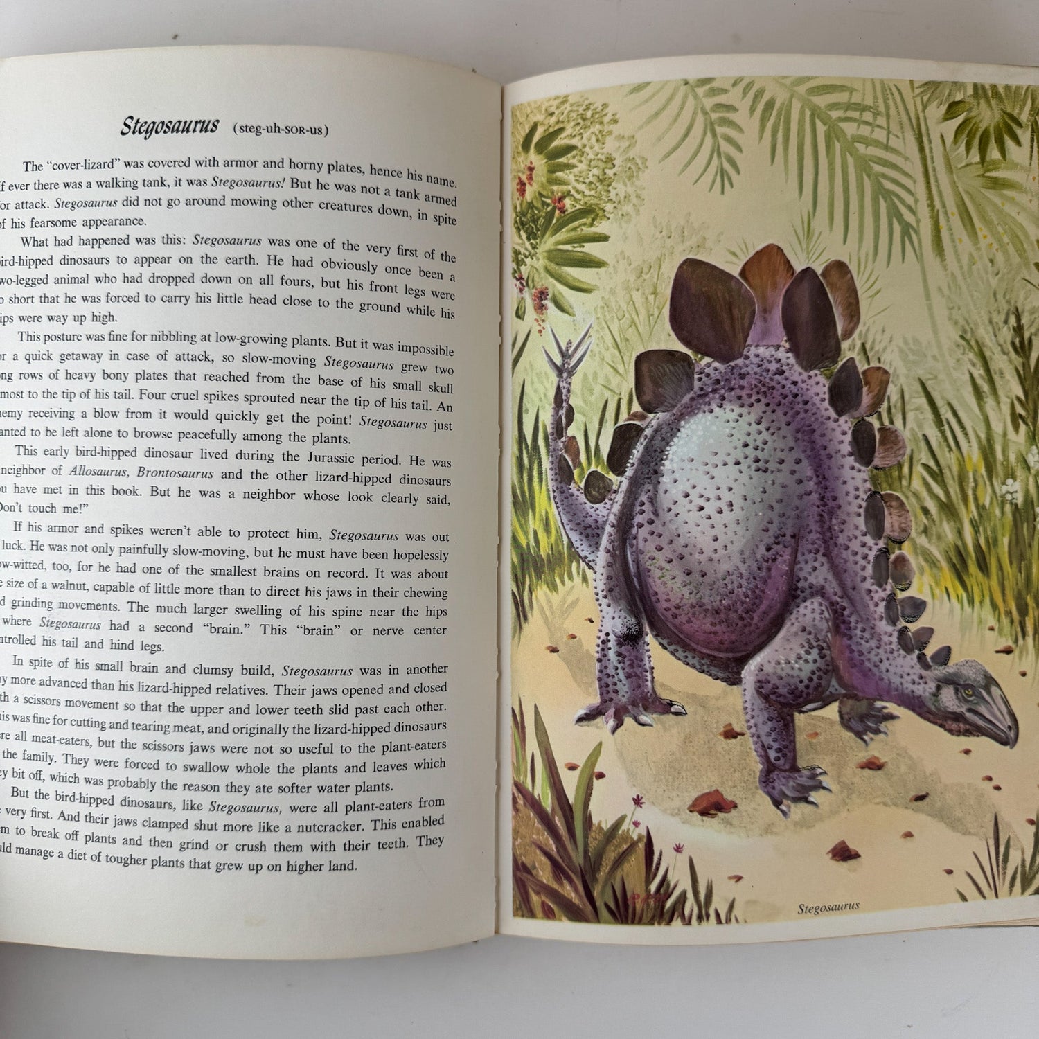 Dinosaurs and Other Prehistoric Animals, 1968, Darlene Geis - Pretty Old Books