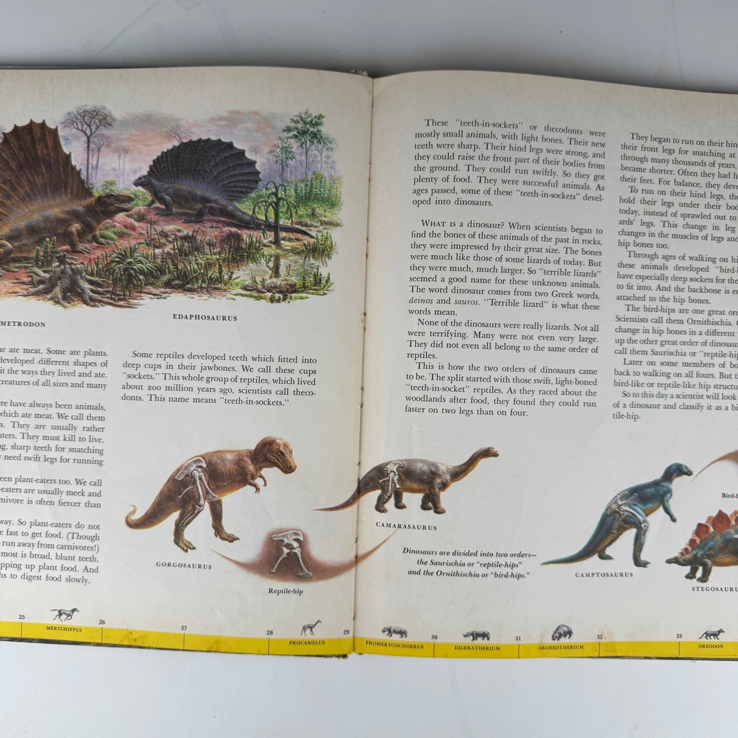 Dinosaurs and Other Prehistoric Reptiles, A Giant Golden Book: 1960 - Pretty Old Books