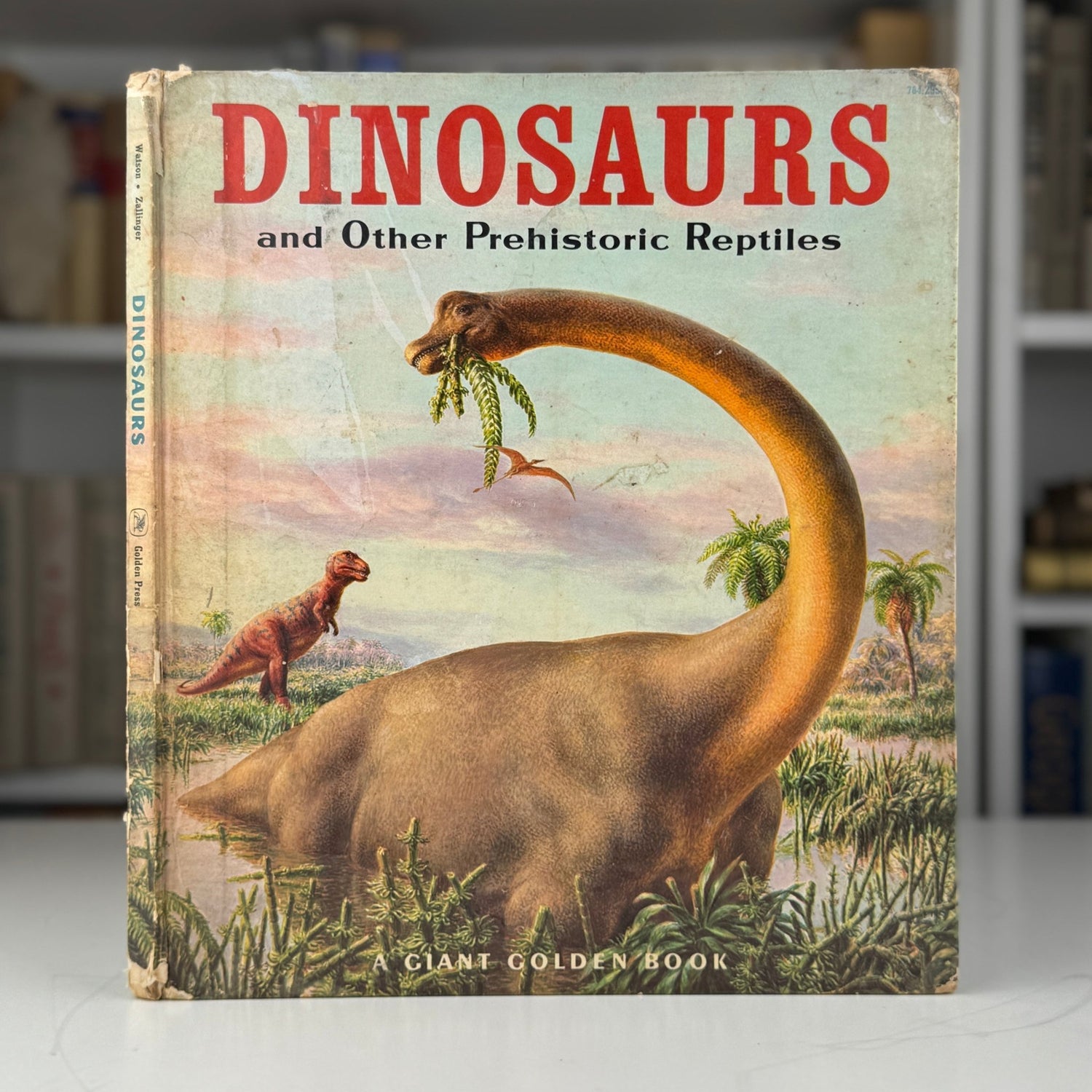 Vintage Children's Nature Study Books