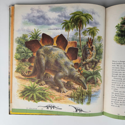 Dinosaurs and Other Prehistoric Reptiles, A Giant Golden Book: 1960 - Pretty Old Books