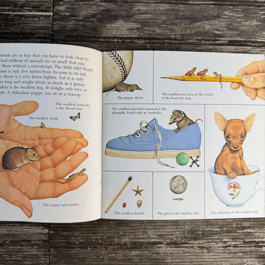 Do You Know? More Than 100 Fascinating Things to Know, 1979 - Pretty Old Books