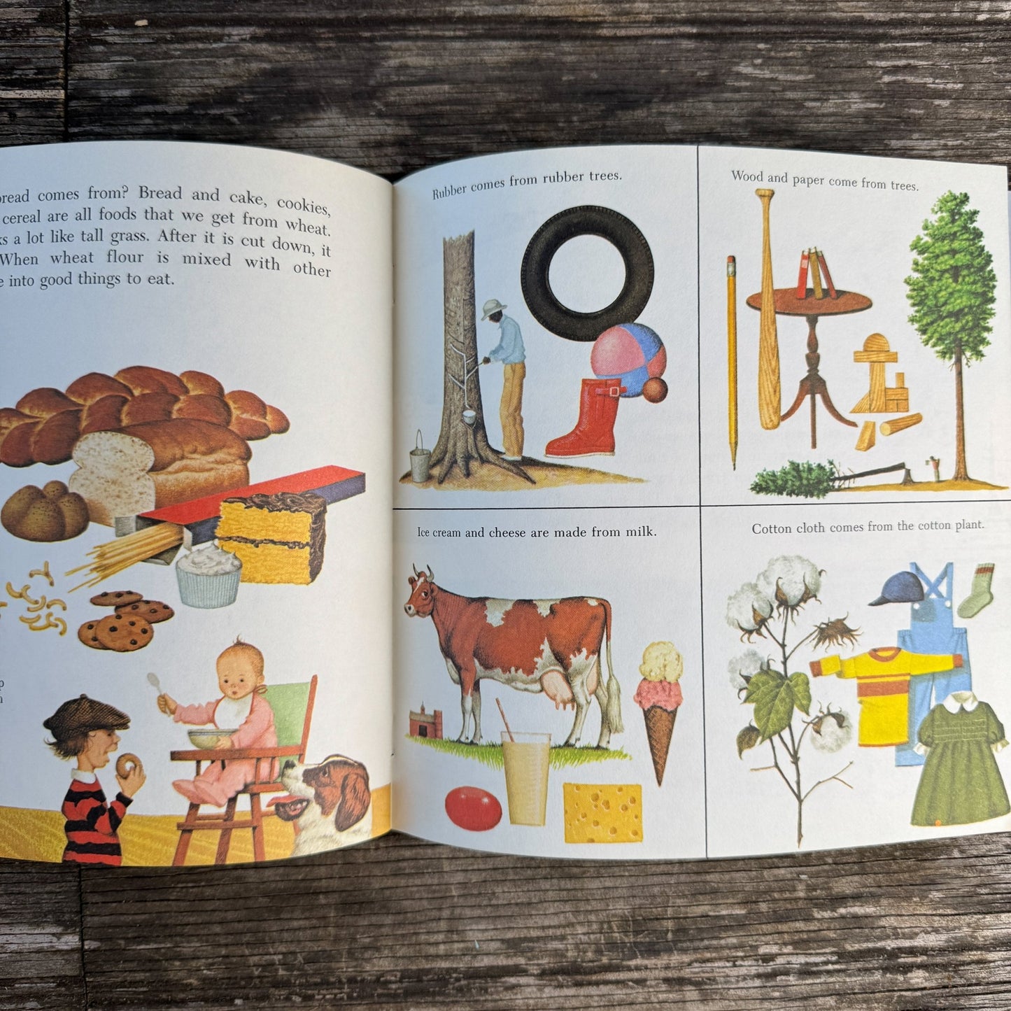 Do You Know? More Than 100 Fascinating Things to Know, 1979 - Pretty Old Books