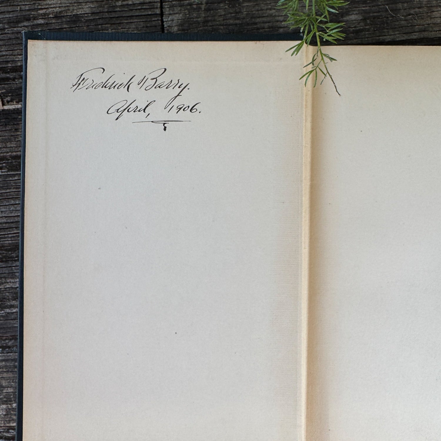 Enigmas of Psychical Research by James H. Hyslop, Esoteric, Paranormal, 1906 - Pretty Old Books