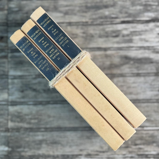 European Vintage Neutral Peachy Tan Book Bundle, Vilhelm Moberg - Pretty Old Books