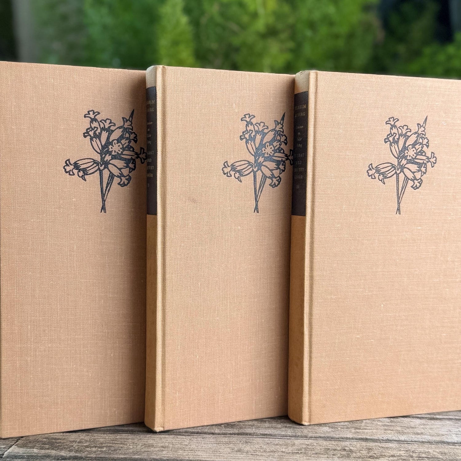 European Vintage Neutral Peachy Tan Book Bundle, Vilhelm Moberg - Pretty Old Books