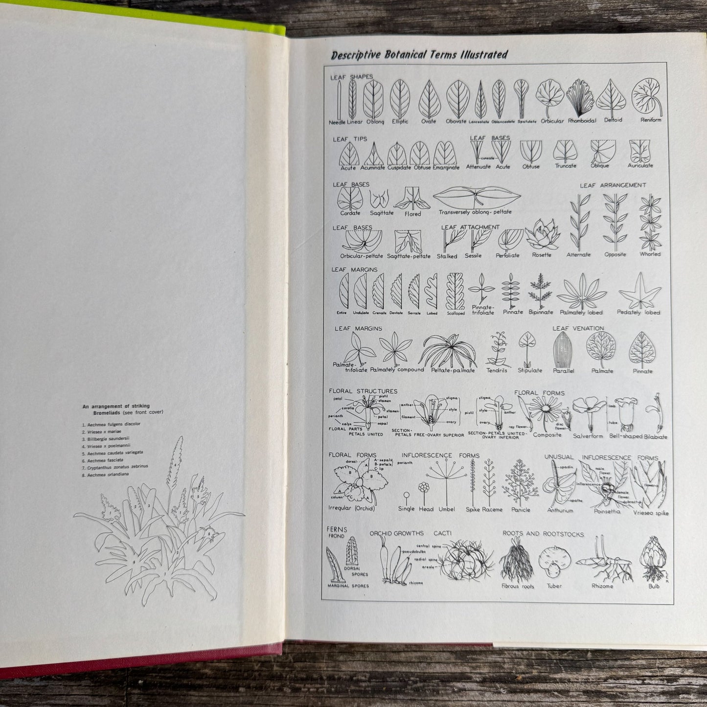 Exotic House Plants, 10th Edition, 1976 Illustrated - Pretty Old Books