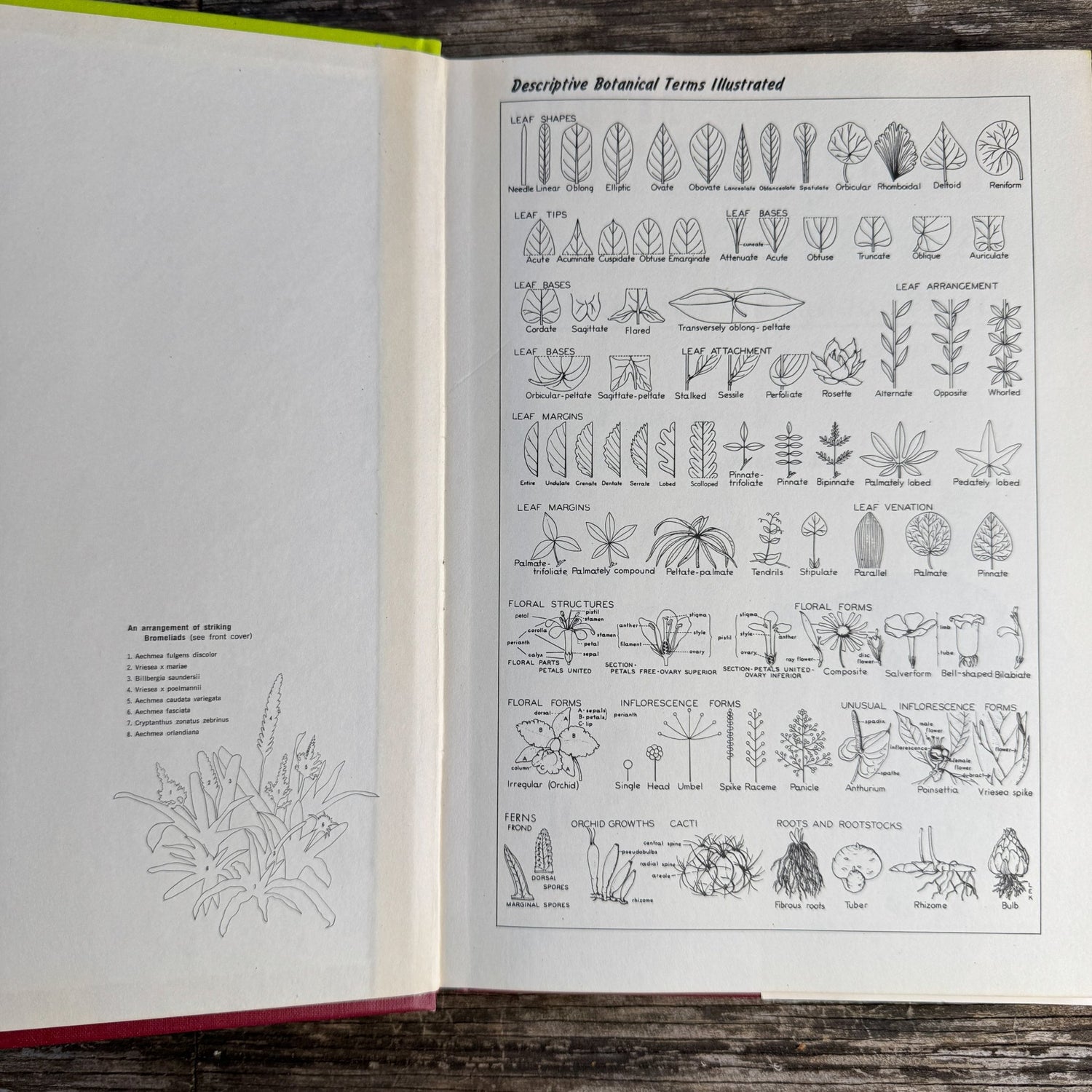 Exotic House Plants, 10th Edition, 1976 Illustrated - Pretty Old Books