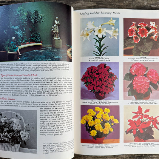 Exotic House Plants, 10th Edition, 1976 Illustrated - Pretty Old Books