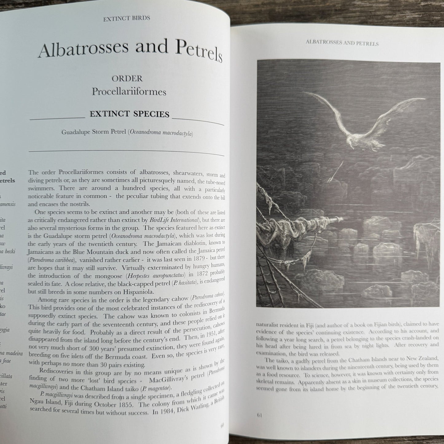Extinct Birds, Errol Fuller, Revised Edition 2001 - Pretty Old Books