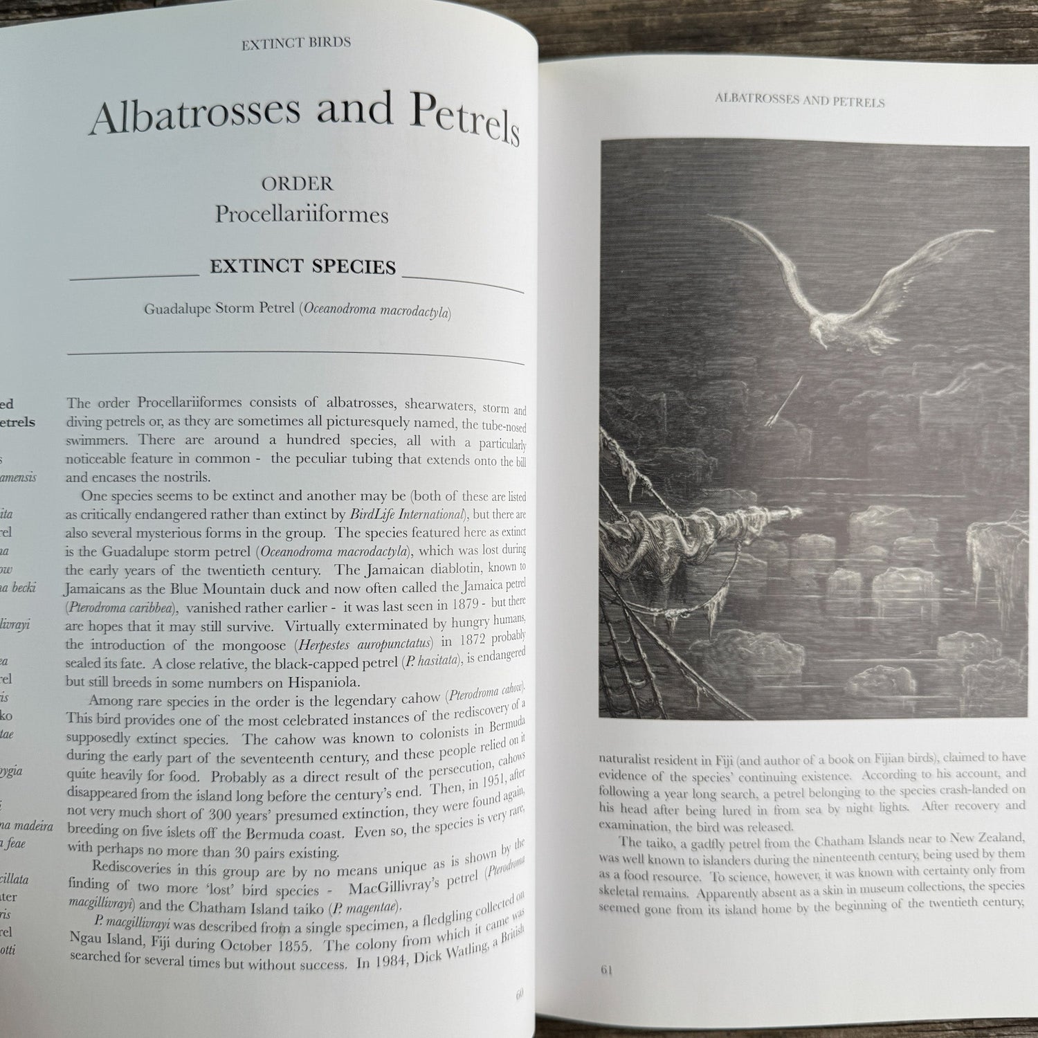 Extinct Birds, Errol Fuller, Revised Edition 2001 - Pretty Old Books