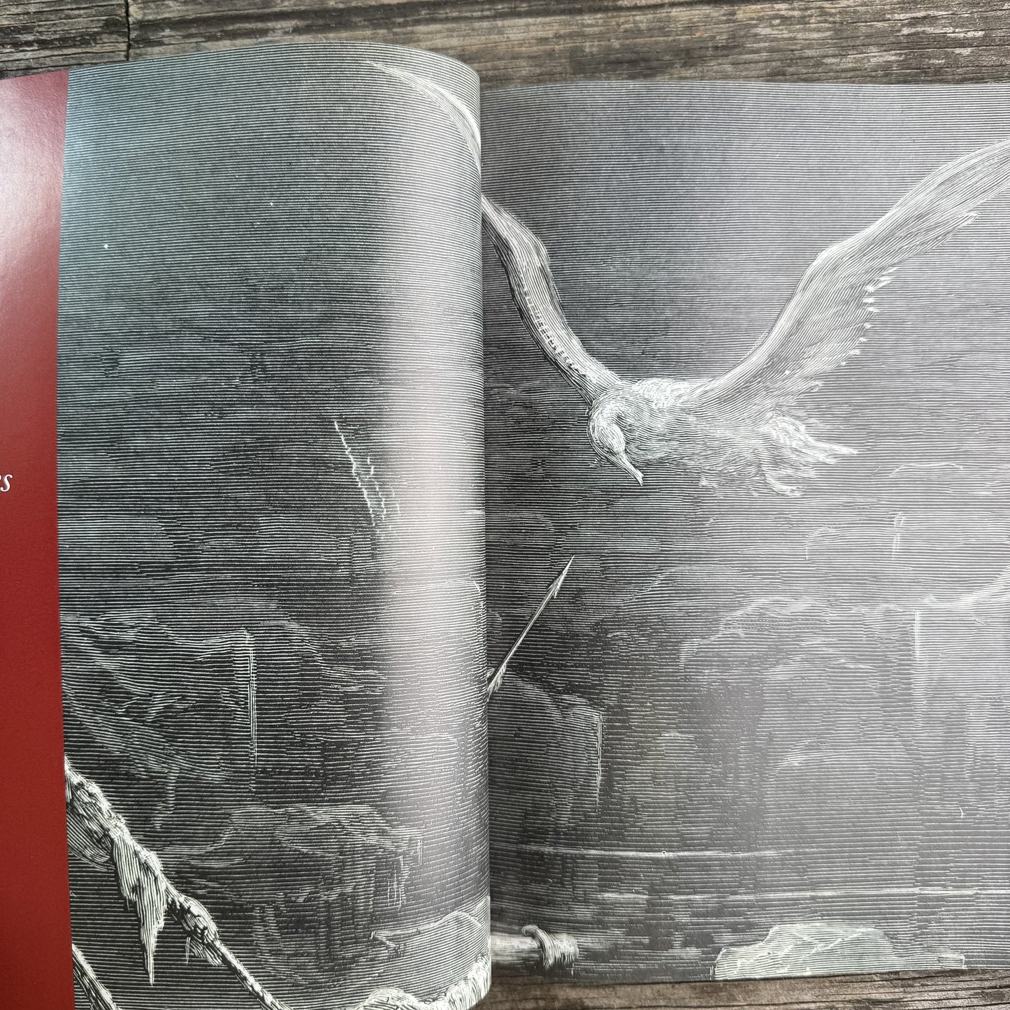 Extinct Birds, Errol Fuller, Revised Edition 2001 - Pretty Old Books