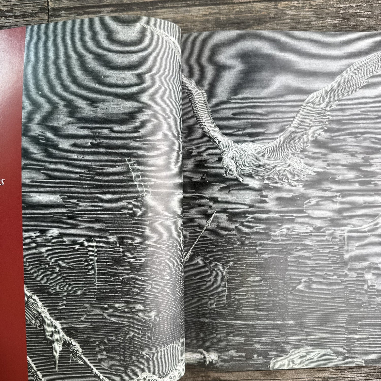 Extinct Birds, Errol Fuller, Revised Edition 2001 - Pretty Old Books