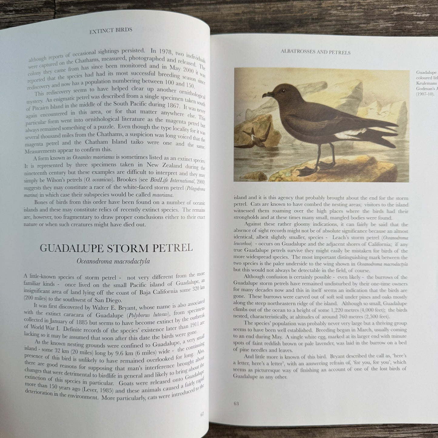 Extinct Birds, Errol Fuller, Revised Edition 2001 - Pretty Old Books