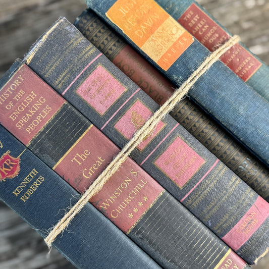 Faded Slate Blue and Coral Book Set for Display, Vintage Shabby Books By Color - Pretty Old Books