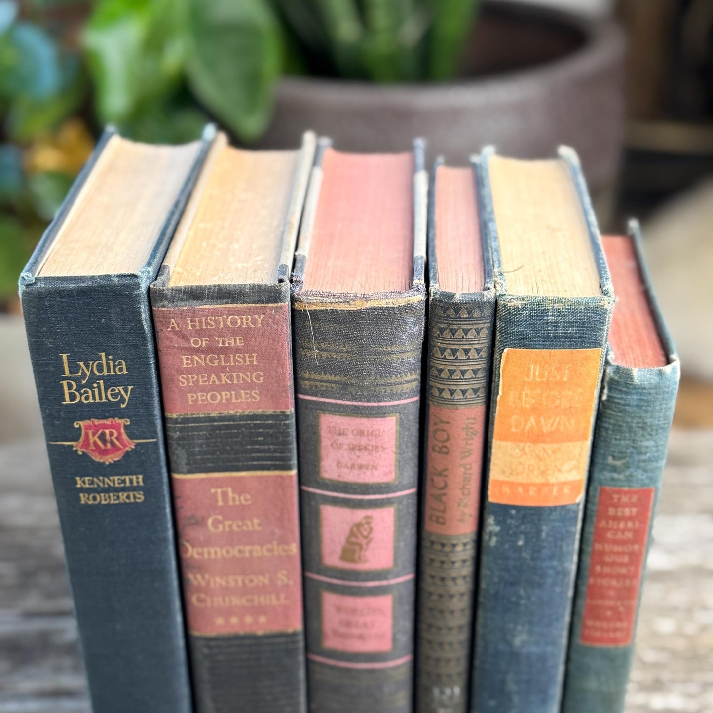 Faded Slate Blue and Coral Book Set for Display, Vintage Shabby Books By Color - Pretty Old Books