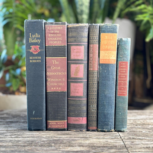 Faded Slate Blue and Coral Book Set for Display, Vintage Shabby Books By Color - Pretty Old Books