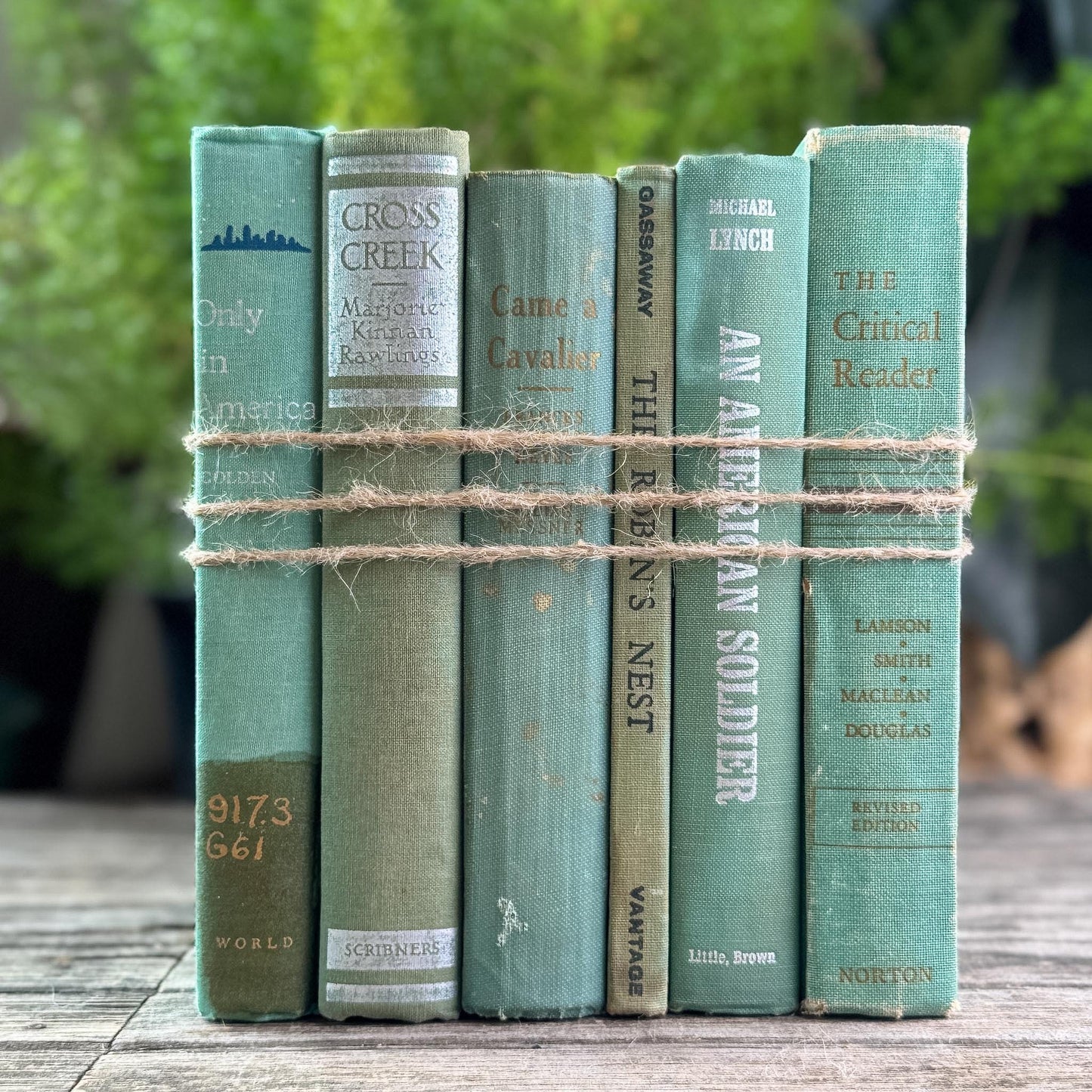 Faded Vintage Sage Green Books for Display - Pretty Old Books