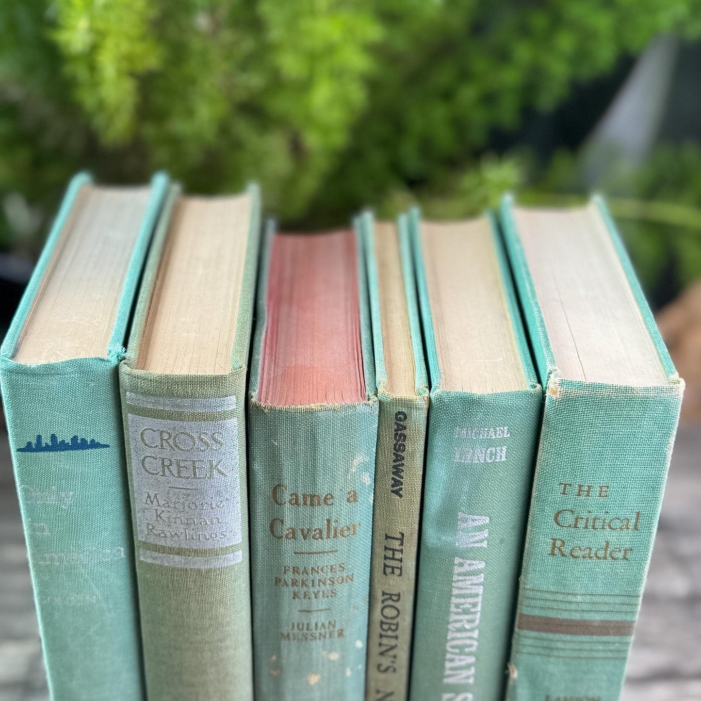 Faded Vintage Sage Green Books for Display - Pretty Old Books