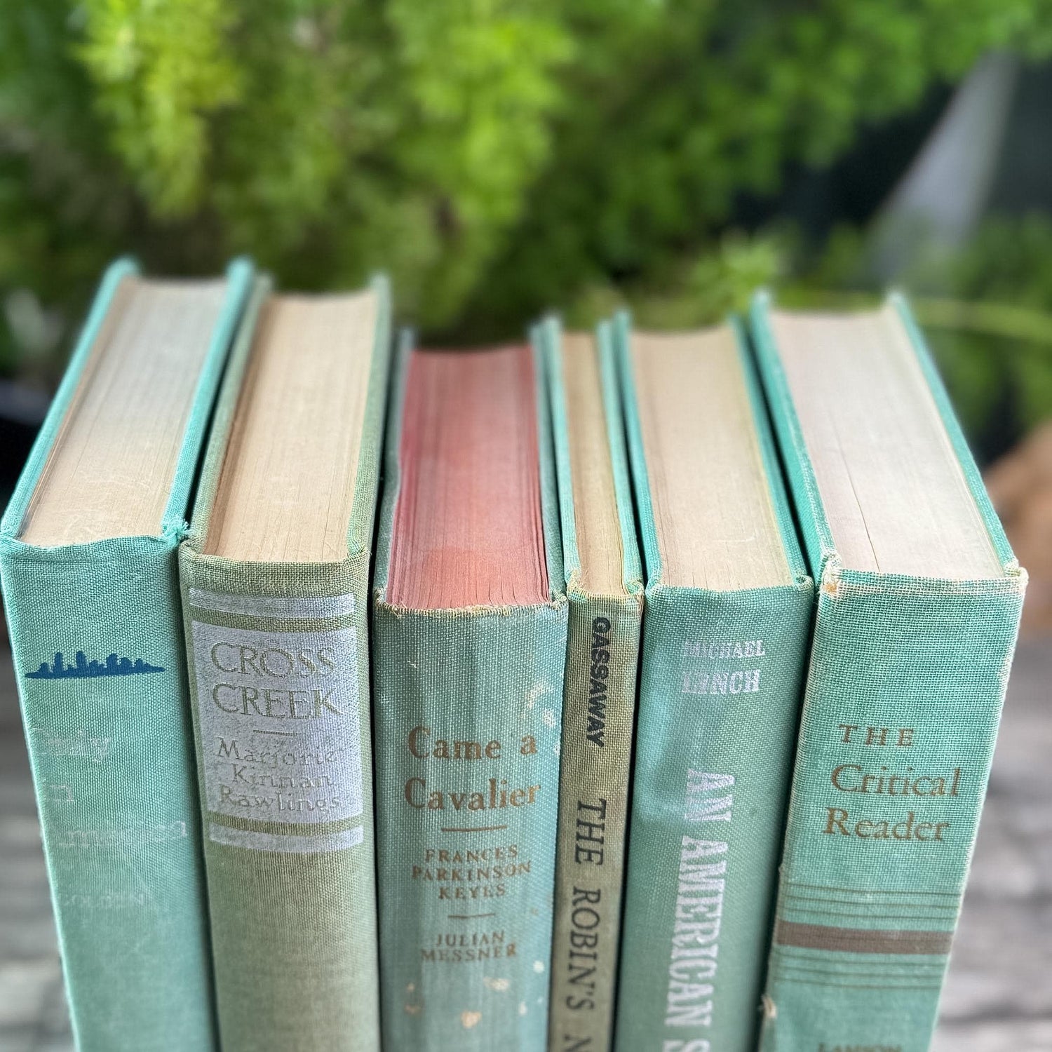 Faded Vintage Sage Green Books for Display - Pretty Old Books