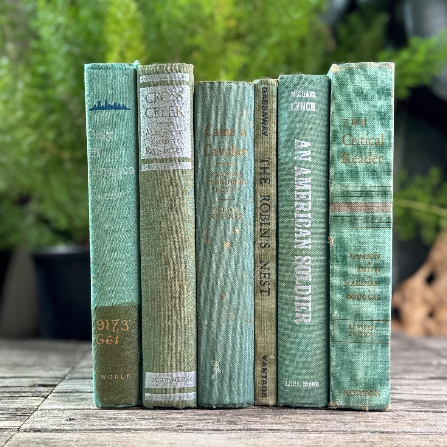 Faded Vintage Sage Green Books for Display - Pretty Old Books