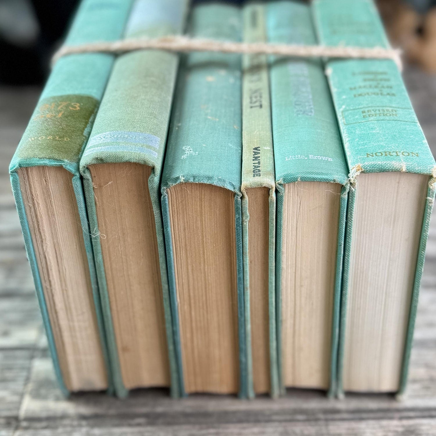 Faded Vintage Sage Green Books for Display - Pretty Old Books
