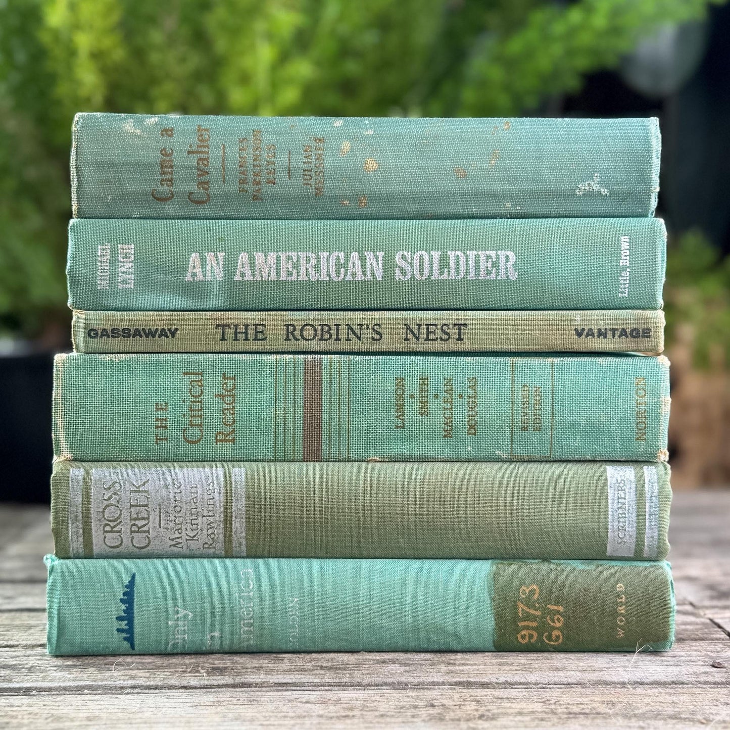 Faded Vintage Sage Green Books for Display - Pretty Old Books