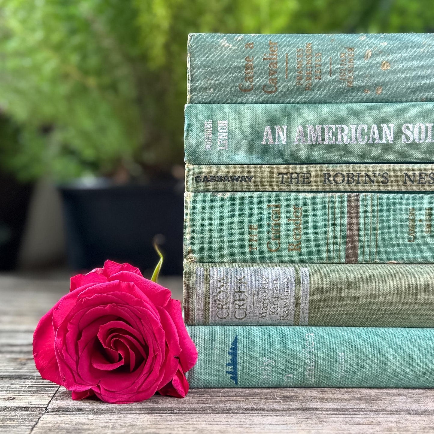 Faded Vintage Sage Green Books for Display - Pretty Old Books