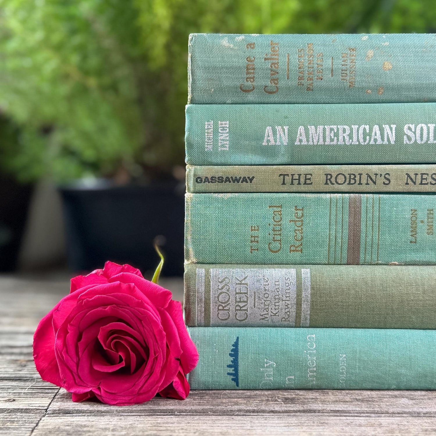Faded Vintage Sage Green Books for Display - Pretty Old Books