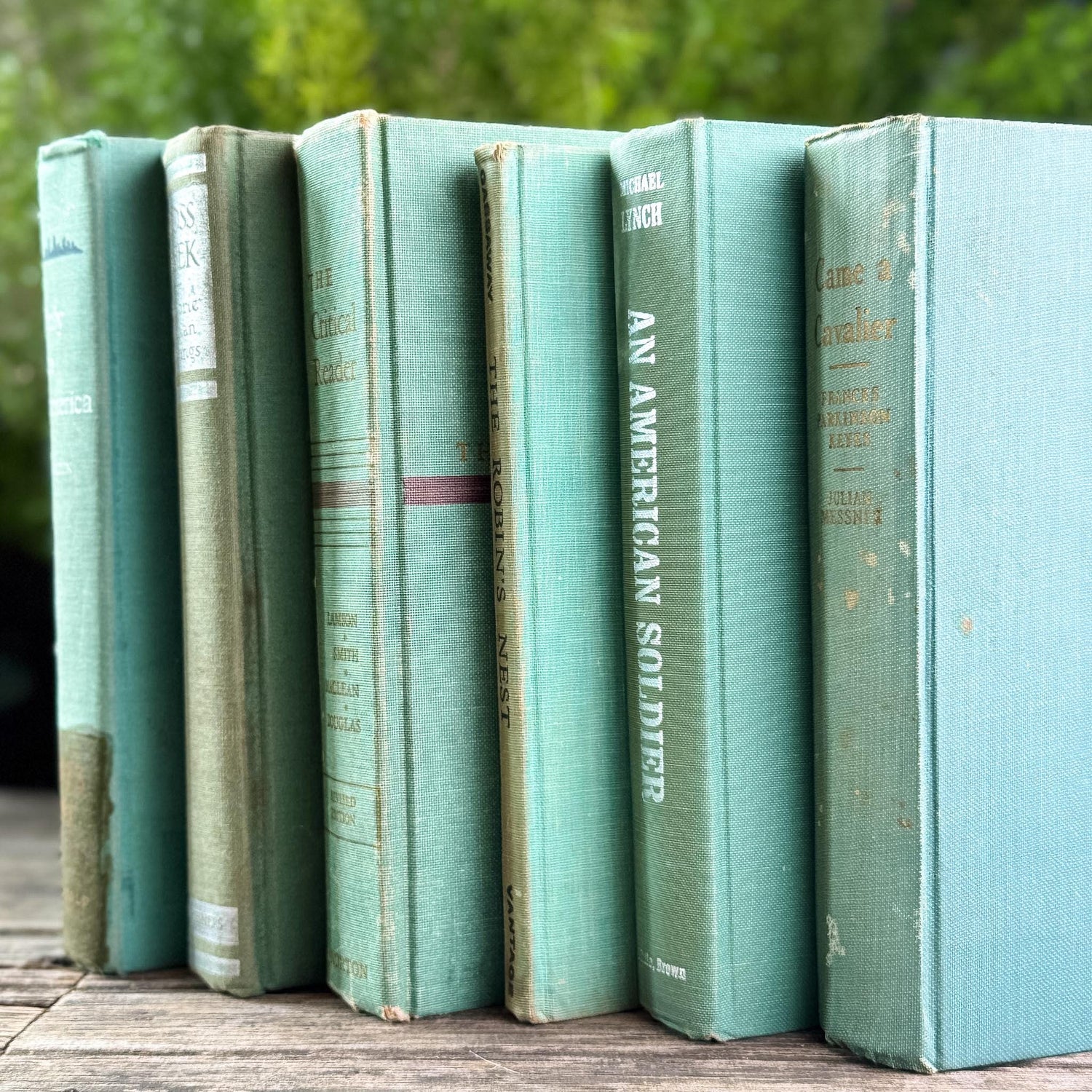 Faded Vintage Sage Green Books for Display - Pretty Old Books