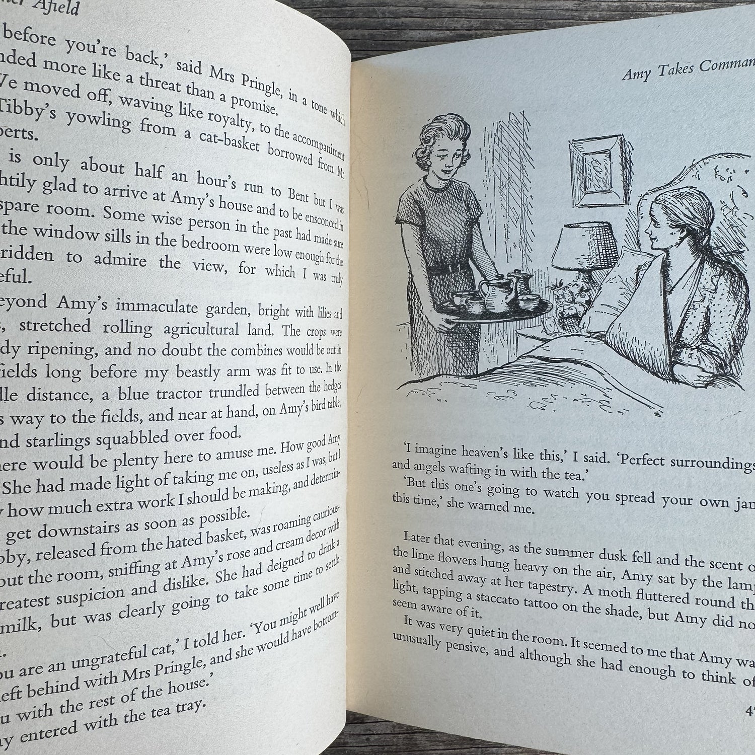 Farther Afield, Miss Read, 1974, First Edition, British - Pretty Old Books