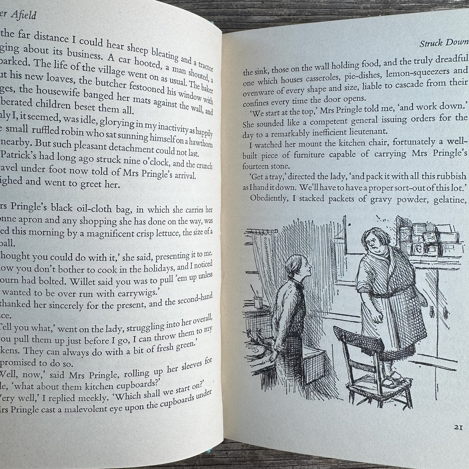 Farther Afield, Miss Read, 1974, First Edition, British - Pretty Old Books