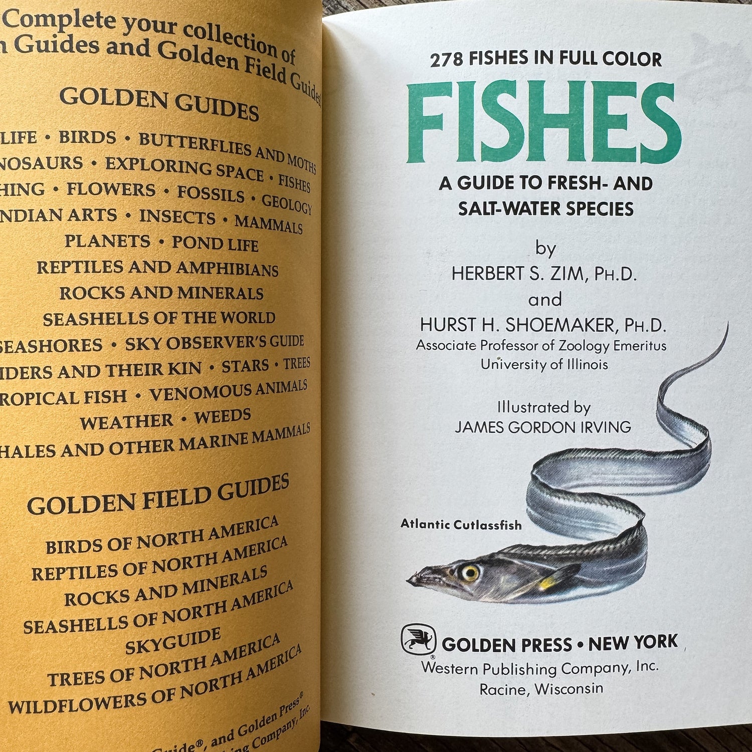 Fishes, Golden Field Guide, 1987 - Pretty Old Books