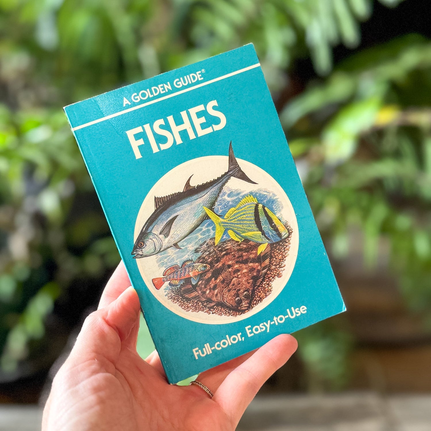 Fishes, Golden Field Guide, 1987 - Pretty Old Books