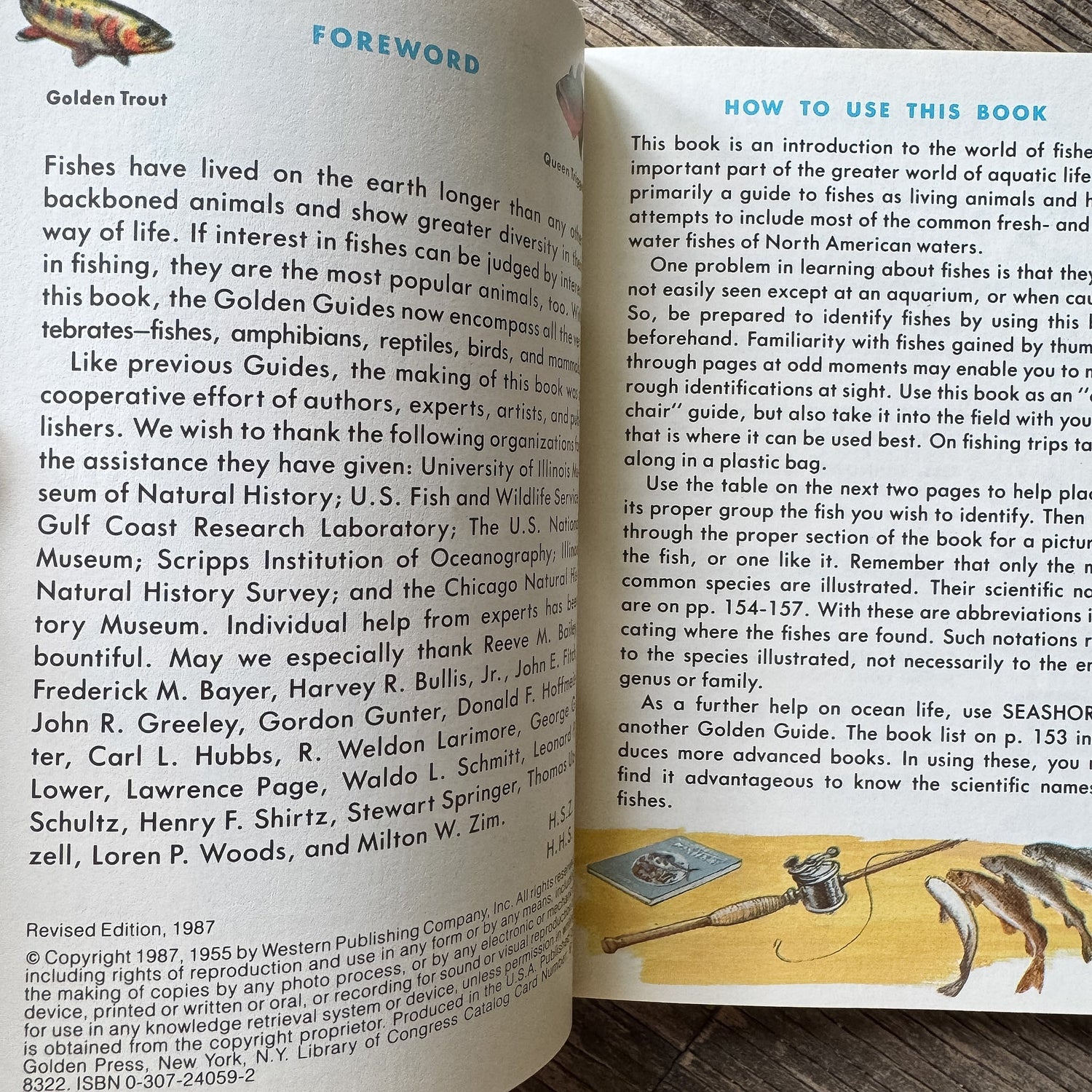 Fishes, Golden Field Guide, 1987 - Pretty Old Books