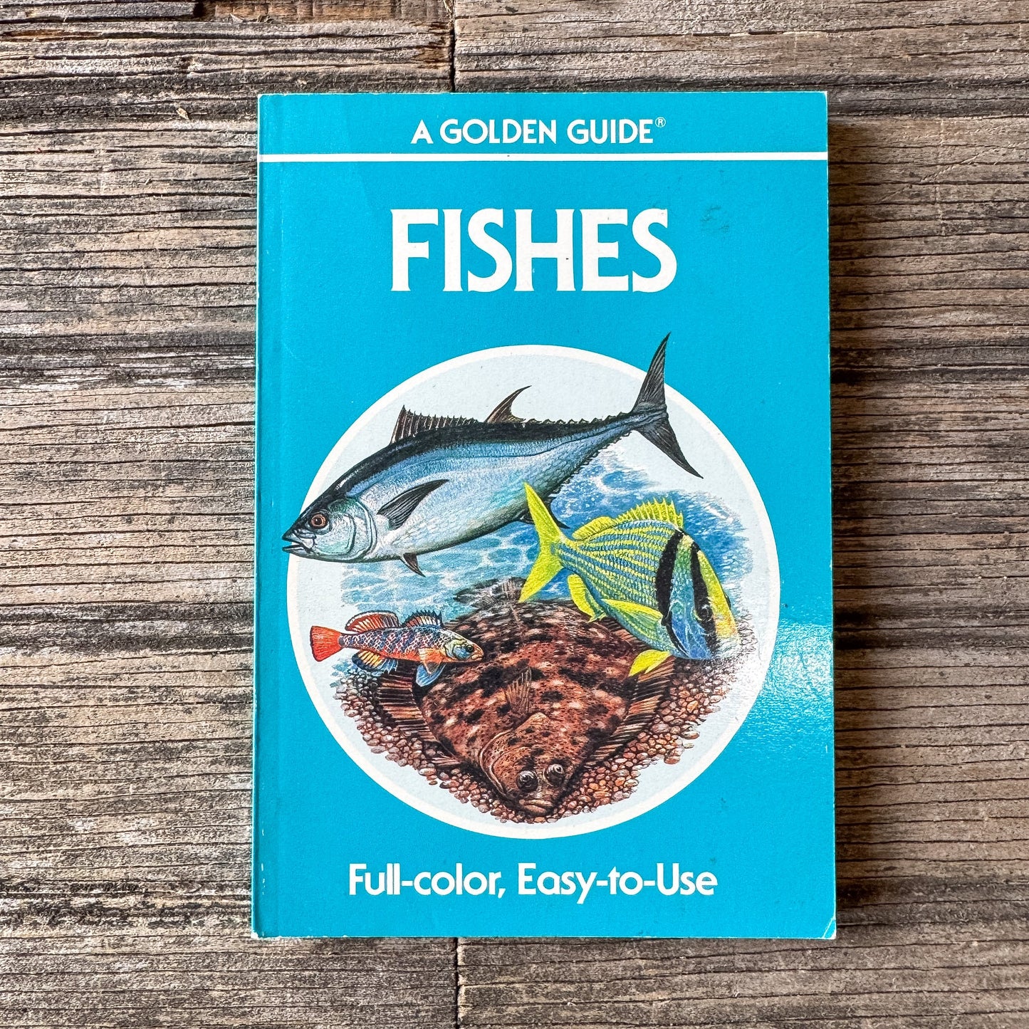 Fishes, Golden Field Guide, 1987 - Pretty Old Books