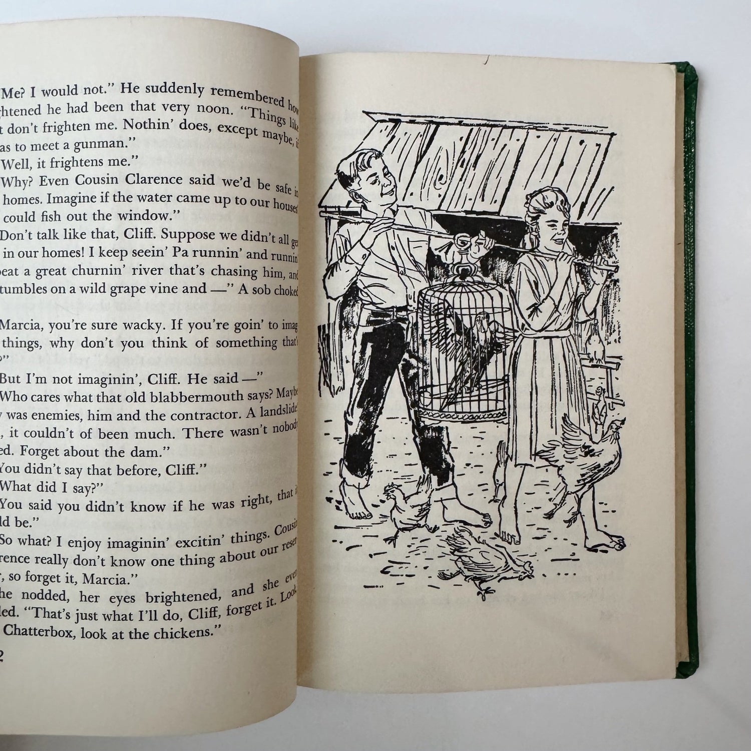 Flash Flood At Hollow Creek, Marjorie Paradis, 1963 - Pretty Old Books