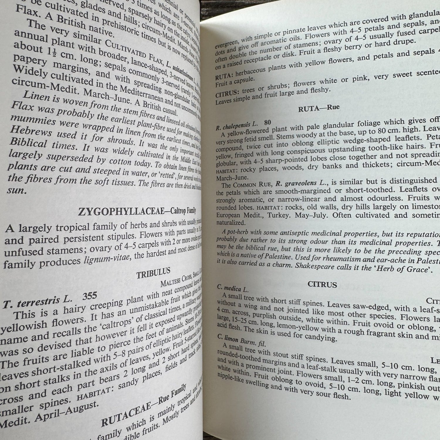 Flowers of the Mediterranean, First American Edition, 1966 - Pretty Old Books