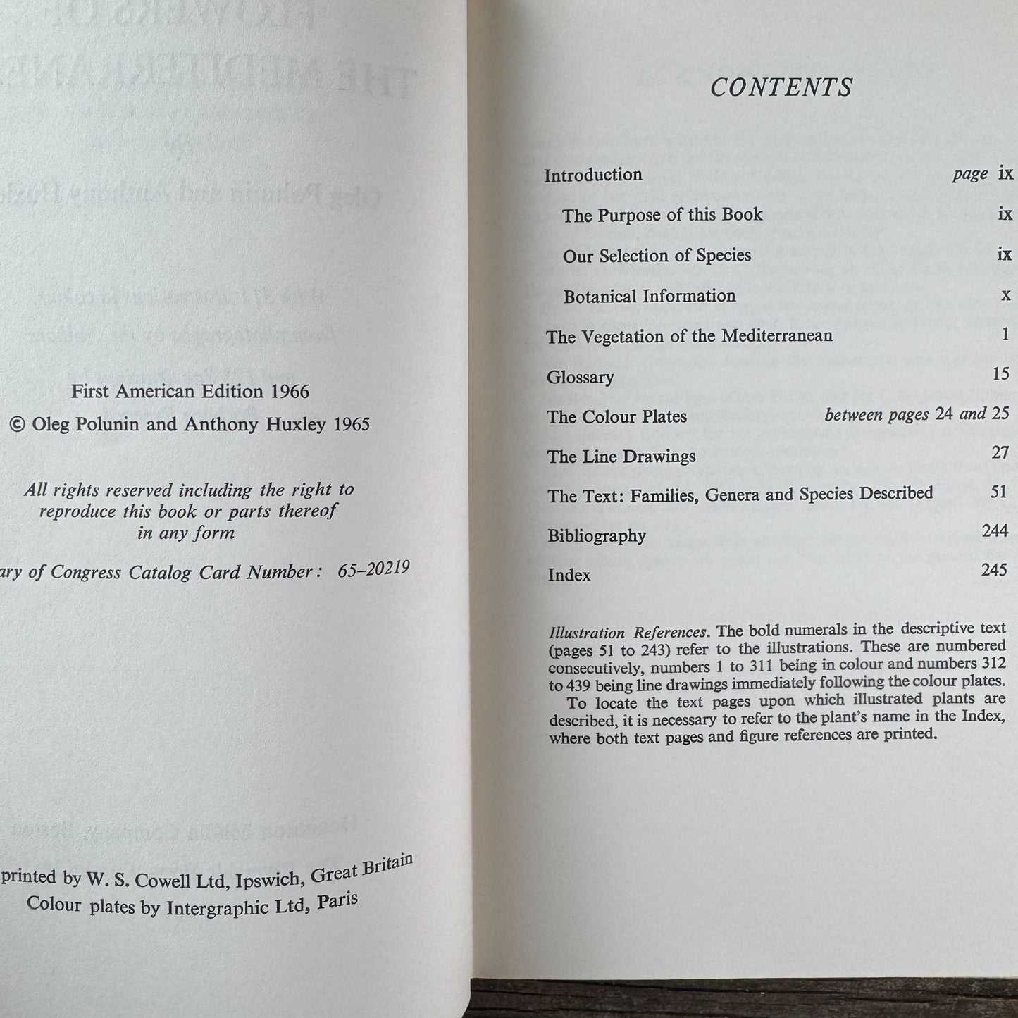 Flowers of the Mediterranean, First American Edition, 1966 - Pretty Old Books