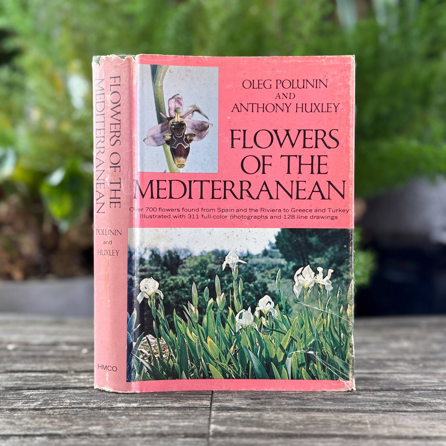 Flowers of the Mediterranean, First American Edition, 1966 - Pretty Old Books
